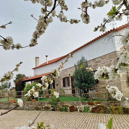Вілла A Casa Do Soito Олівейра-ду-Ошпітал Екстер'єр фото